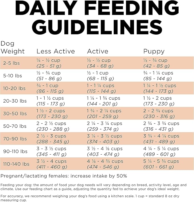 Go! Solutions Skin + Coat Care Salmon Dry Dog Food with Grains, Chicken-Free, Healthy Kibble with Omega-3s & 6s for Soft, Shiny Fur, for Puppies, Adults, & Seniors, 22 lb Bag