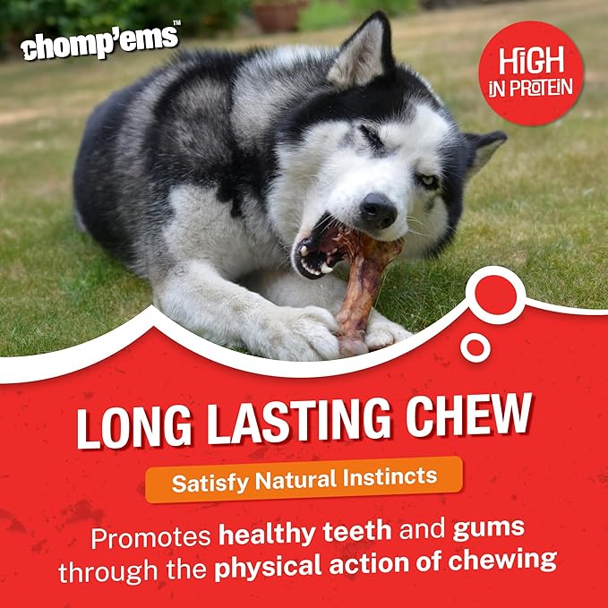 Chmp EMS Ham Bone Size Ea Chmp'Ems Ham Bone