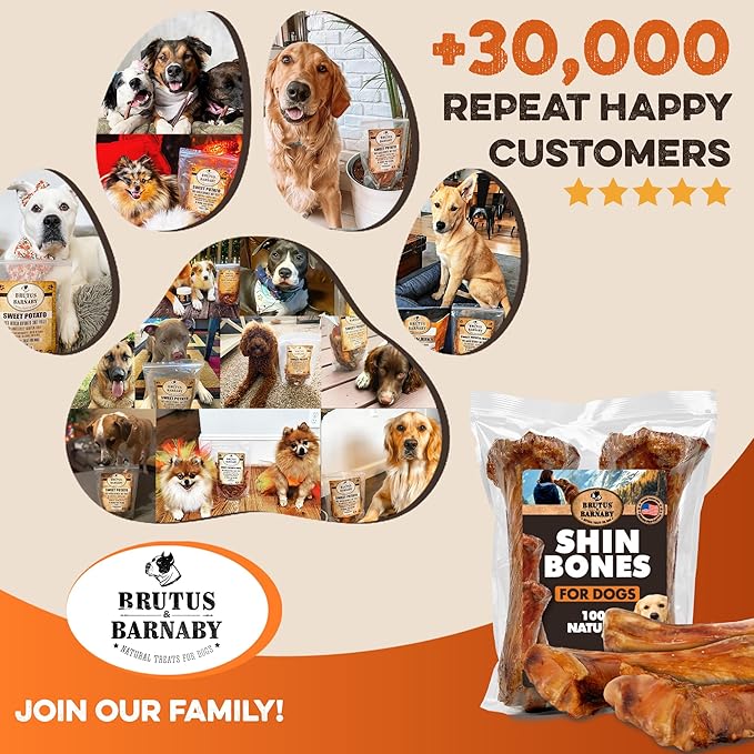 BRUTUS & BARNABY Shin Bones for Dogs – 100% USA-Sourced Beef Bones – Long-Lasting Chew for Large Breeds and Aggressive Chewers – Natural, High Protein, Dental Health Support, (1-pk) – Made in The USA