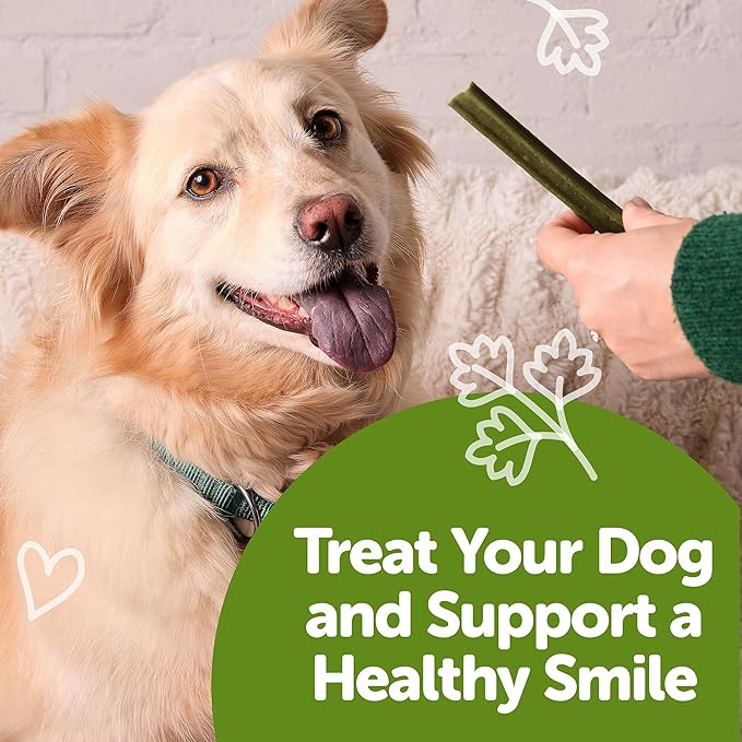 WHIMZEES Wellness Freshzees Dog Dental Treats, Medium Size Stick, (14 Count)