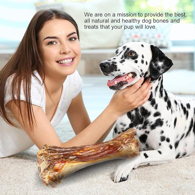 Real Beef Bones for Dogs with Meat - 8'' Big Dog Bones Beef Shank Bone, Rawhide-Free Long-Lasting Natural Single-Ingredient Dog Treats for Small, Medium & Large Dogs (1 Count)