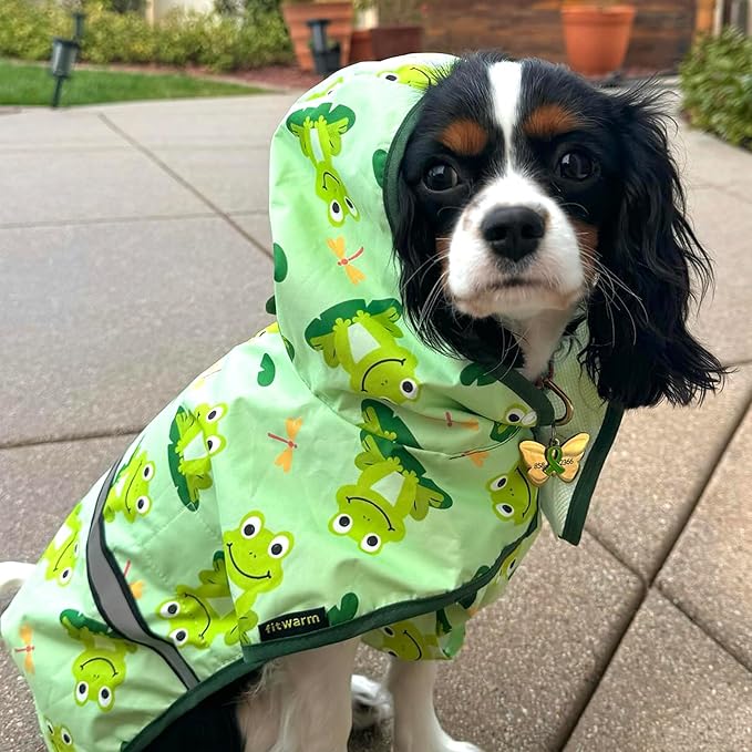 Fitwarm Funny Frog Dog Raincoat with Hood, Waterproof Rain Jacket for Small Dogs Boy Girl, Reflective Pet Poncho with Harness Hole, Packable, Adjustable, Green, XXL