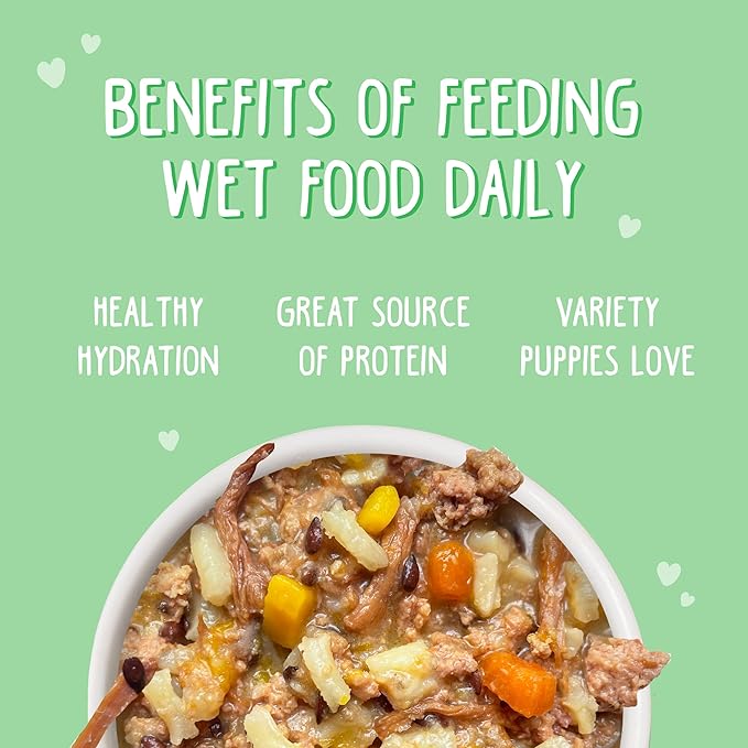 Weruva Puppy, Beef and Rice Formula in Gravy, 14oz Can, Pack of 10