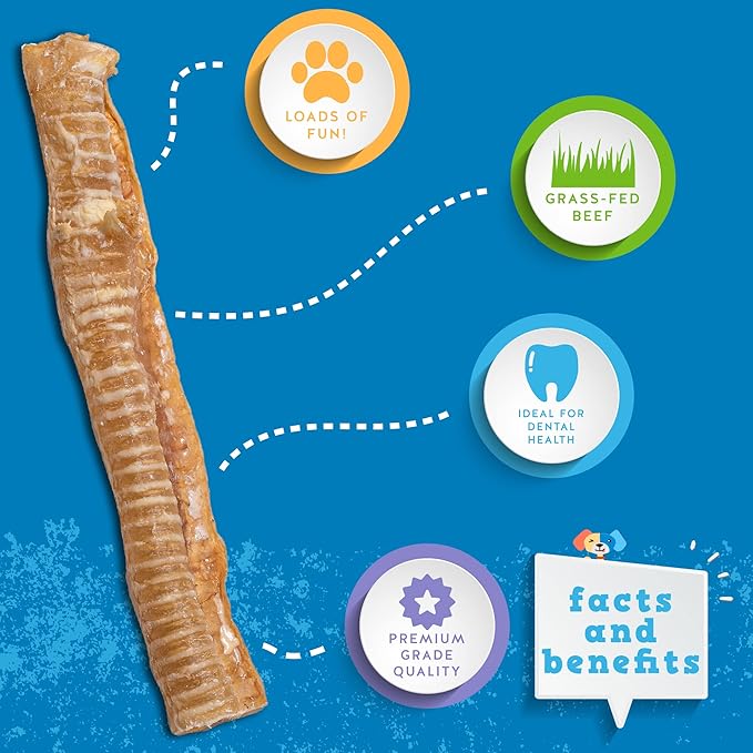 Jack&Pup 12" Beef Trachea for Dogs | All Natural Single Ingredient Dog Treat Dog Trachea Chews | Savory and Fun Treat for Dogs (6 Pack)