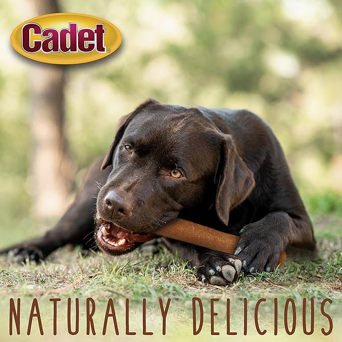 Cadet Chewalicious Chewy 'N Savory Rolls with Real Chicken, Rawhide-Free Healthy Dog Chews, Limited-Ingredient Dog Treats & Long-Lasting Chew Treats for Dogs, Chicken Flavor, 2 Pack