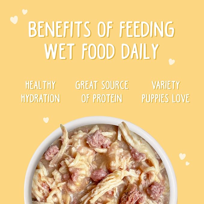 Weruva Puppy, Chicken Formula in Gravy, 14oz Can, Pack of 10