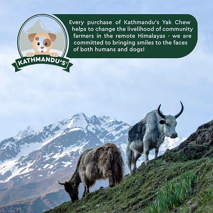 KATHMANDU'S 100% Natural Himalayan Yak Cheese Chews - All Natural and Protein-Rich Nutrition Dog Treats, Long Lasting Chews for Aggressive Chewers, Odor Free Yak Chew | Large/X Large (Pack of 8)