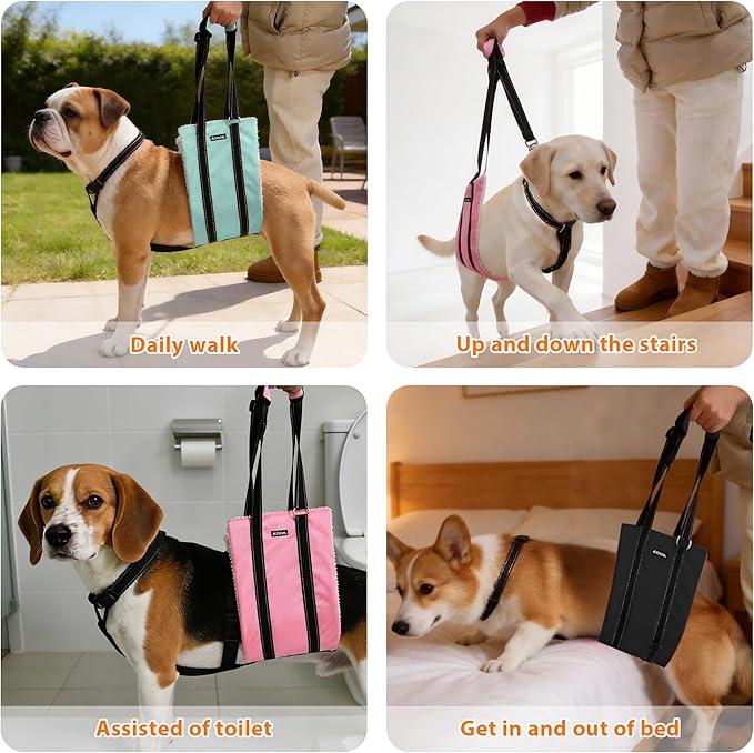 AIITLE Adjustable Anti-Slip Dog Lift Harness with Detachable Collar - Reflective Plush Dog Carrier Sling for Large Dogs, Rear Leg Support for Arthritis, Injury& Elderly Canines (Black, L)