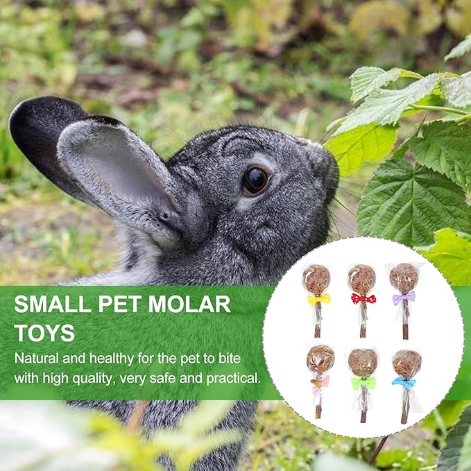 balacoo Rabbit Toys Teething Toys 10pcs Rabbit Chewing Stick Bunny Lollipops Teeth Care Toy Pet Teeth Bite Rod Treats Hamster Guinea Pig Herbage Sticks (Random Color) Bunny