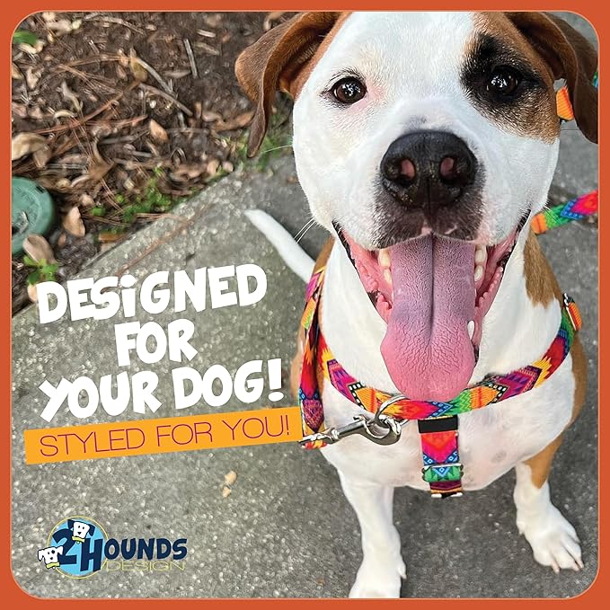 2 Hounds Design Freedom No Pull Dog Harness, Adjustable Harness, Easy Walking & Comfortable Control, Fits Small, Medium & Large Dogs, Solid Colors, Made in USA, 5/8" MD, Red