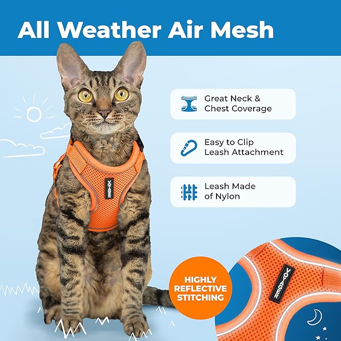 Voyager Escape-Proof Step-in Lock Cat Harness & 5ft Neoprene-Handle Leash Set All-Weather Mesh with Reflective Stitching for Small to Large Cats by Best Pet Supplies, Orange (327), XXS