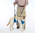 Guardian Gear Nylon Lift & Lead 4-in-1 Dog Harness, XXX-Large, Blue