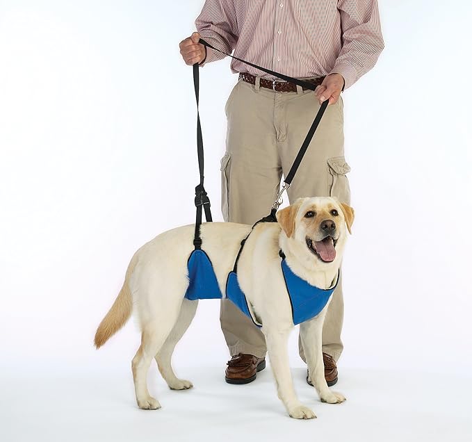 Guardian Gear Nylon Lift & Lead 4-in-1 Dog Harness, XXX-Large, Blue