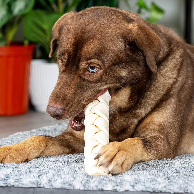 Pet Factory 100% Made in USA Beefhide 12" Braided Stick Dog Chew Treat - Natural Flavor, 1 Count/2 Pack