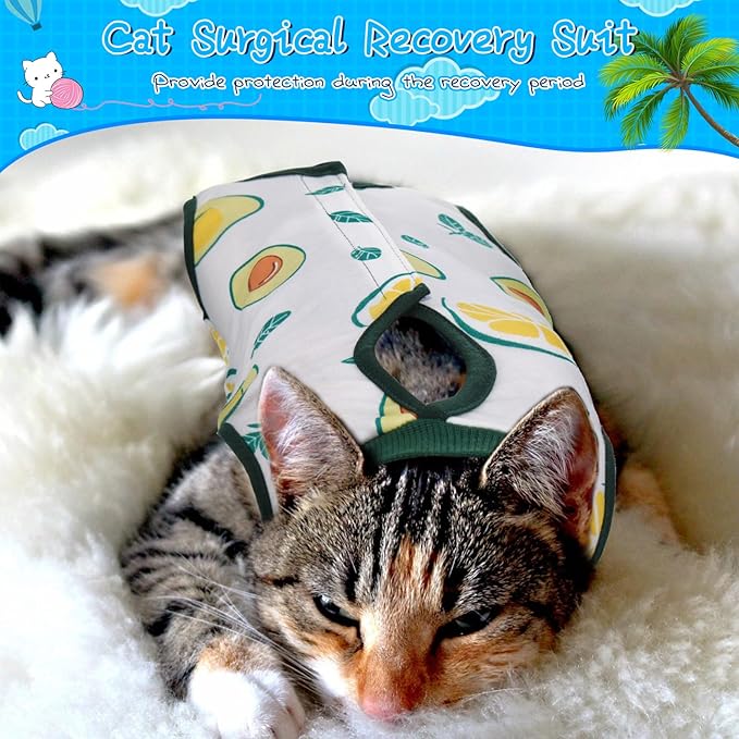 Nuanchu 3 Pieces Cat Recovery Suit Kitten Recovery Suit E-Collar Alternative for Cats and Dogs Abdominal Skin Anti Licking Pajama Clothes Sets(Large,Watermelon Style,Colorful)