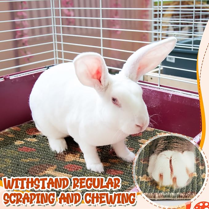 Drydiet 2 Pcs 16 x 12''Rabbit Scratch Mat Natural Bunny Scratching Pad Claws and Teeth Care Rabbit Mats for Cages Chew Toys Bunny Pet Cage Bedding for Biting Sleeping Nesting