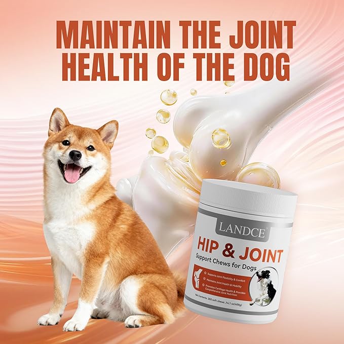 LANDCE Dog Hip and Joint Supplement, 200ct Glucosamine Chondroitin for Dogs with MSM, Green Lipped Mussel & Collagen Advanced Joint Pain Relief & Arthritis Support Senior Dog Joint Chews, All Breeds