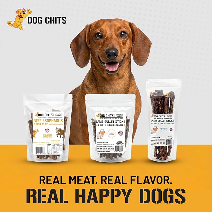 Dog Chits Beef Esophagus Chews for Dogs & Puppies - All Natural Single Ingredient - High Protein, Low Fat Beef Jerky Chew - Safe for All Breeds - Great for Joint - Dental Clean Crunch - 6 inch, 10 oz