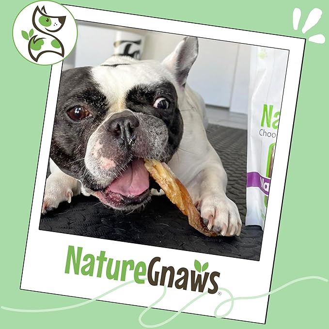 Nature Gnaws Beef Tendons for Dogs 4-5" (12 Count) - Mixed Thickness - Long Lasting for Small and Medium Dogs - Natural Beef Jerky Dog Chew Bones - Rawhide Free
