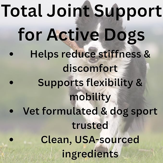 Joint Health for Dogs - Most Effective Natural Hip & Joint Supplement Available - Formulated with Veterinarians, Glucosamine, Chondrointin, MSM, Turmeric (Powder)