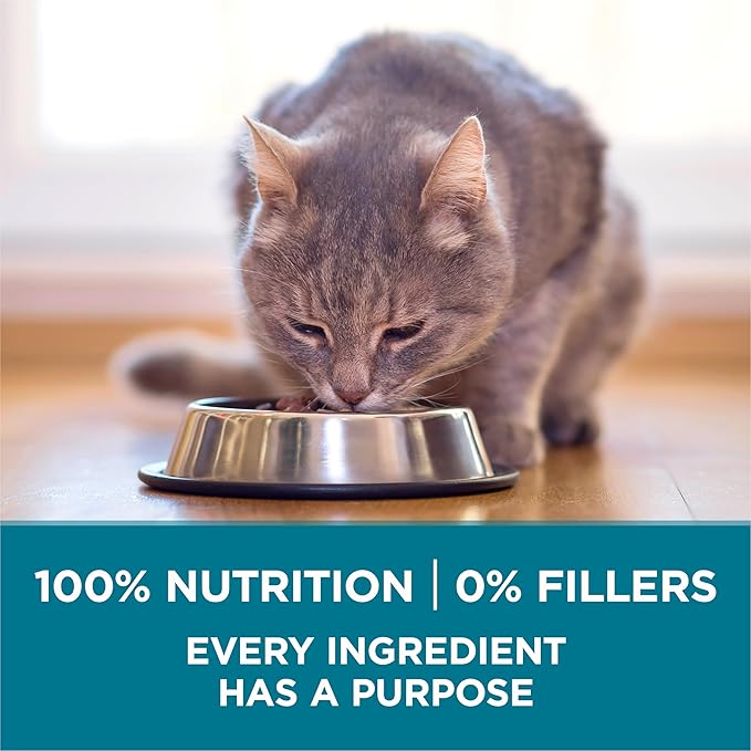 Purina ONE Natural Dry Cat Food, Tender Selects Blend With Real Chicken - (Pack of 4) 3.5 lb. Bags