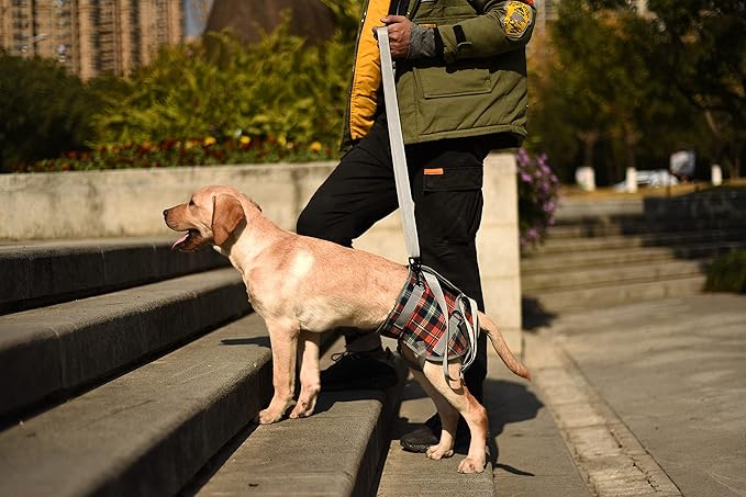 ROZKITCH Dog Lift Harness, Grid Pet Rear Support Aid Veterinarian Approved Sling for Old K9 Help With Poor Stability, Back Leg Hip Disabled Joint Injury Elderly Arthritis ACL Rehabilitation Rehab