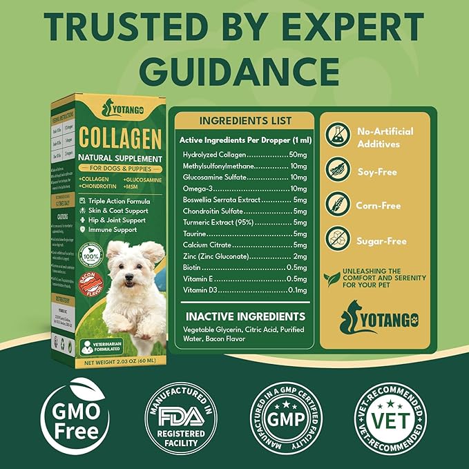 Liquid Collagen for Dogs, Natural Dog Collagen for Skin & Coat Support, Immune Support, Joint & Mobility Care with MSM, Middle-Aged and Older Dogs (Bacon Flavor - 60ml 2 Pack)