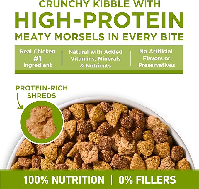 Purina ONE Plus Whole Body Support with Chicken Dry Dog Food - 4 lb. Bag