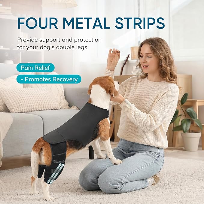 Adjustable Dog Knee Brace for ACL Tear and Arthritis Recovery - Dual Hind Leg Support with Harness Connection - Orthopedic Leg Wrap for Joint Stability and Pain Relief in Small to Large Dog (S)