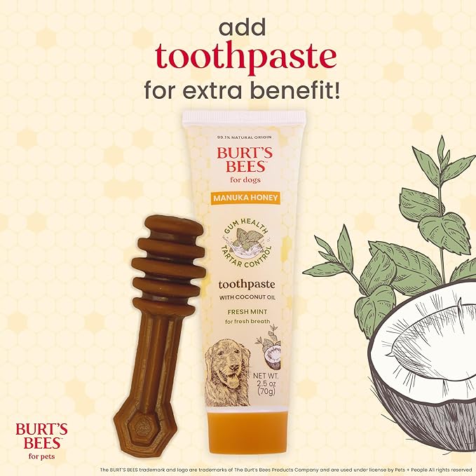 BURT'S BEES FOR PETS Dental Treats for Dogs with Manuka Honey & Ginger, Holistic, Plant-Based Oral Care, 98% Natural Origin Formulas, Sweet Potato Flavor, Dog Treats Small Dogs, Sz Sm 10ct, 7 oz