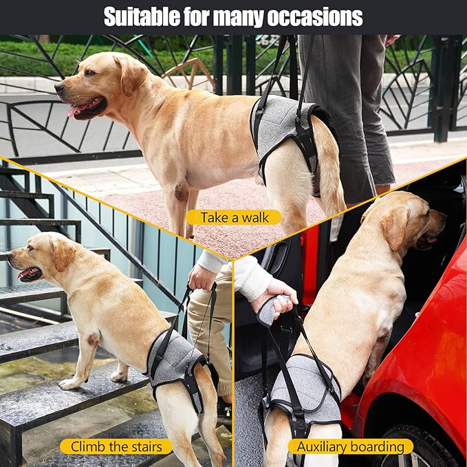 JOHNBOLIN Dog Lift Harness, Dog Sling with Padded, Hind Leg Support to Help Rehabilitate, Helps Senior, Injured, Disabled and After ACL Surgery Dogs (Grey, X-Large)