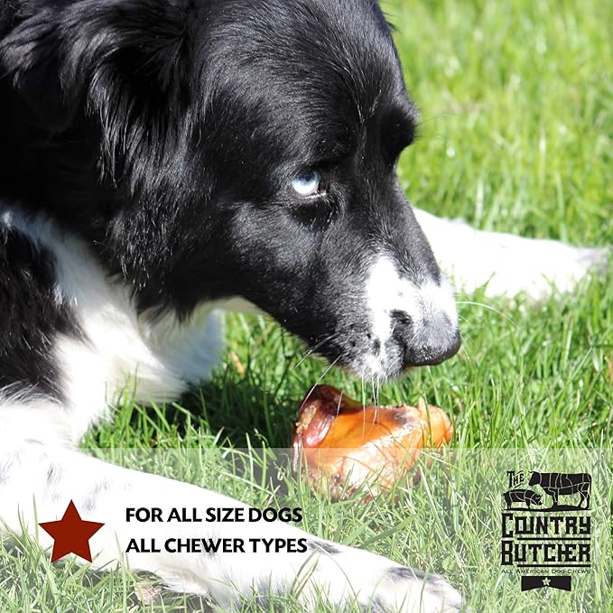 Beef Knee Caps for Dogs - Long Lasting Chew Bones for Aggressive Chewers and All Breed Sizes, Natural Healthy Dog Treats, Tough and Durable, Chew Toy - Made in The USA - 5 Count