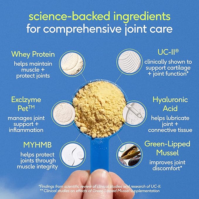 Native Pet Hip & Joint Advanced Care Dog Joint Supplement Powder for Mobility & Movement Support, Joint Supplement for Dogs with HMB, UC-II Collagen, Green Lipped Mussel & Hyaluronic Acid – 60 Scoops
