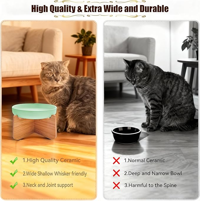 Shallow Elevated Cat Bowls with Bamboo Stand, 6.1 Inch Wide Ceramic Cat Dish Whisker Friendly, 2 Pack Pet Food and Water Plates