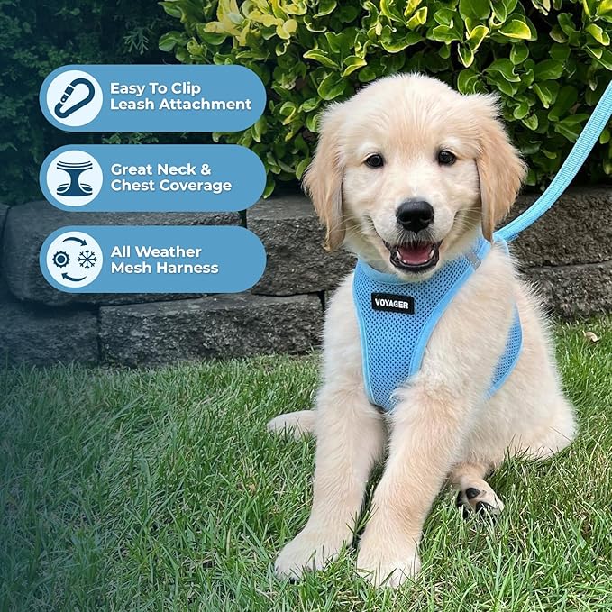Best Pet Supplies Voyager Step-in Air All Weather Mesh Harness and Reflective Dog 5ft Leash Combo with Neoprene Handle, for Small, Medium and Large Breed Puppies - Set (Baby Blue), XXX-Small