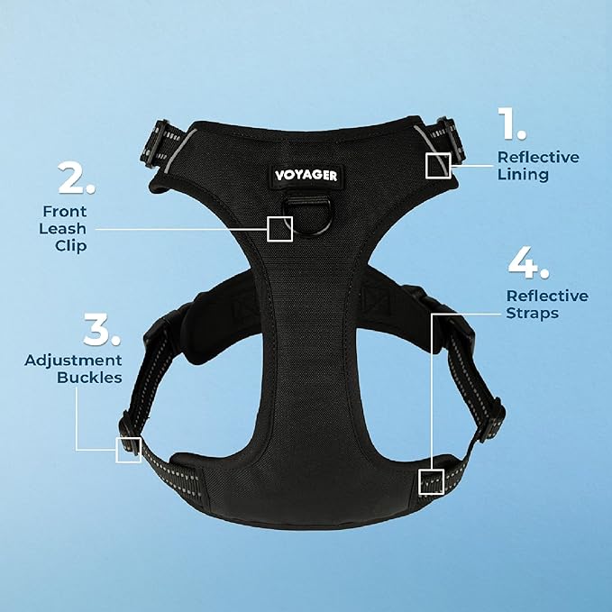 Voyager Dog Harness Dual Leash Attachment No-Pull Control Adjustable Soft but Strong Pet Harness for Medium and Large Dogs with 3M Reflective Technology, Black Nylon, S (Chest: 16-20")