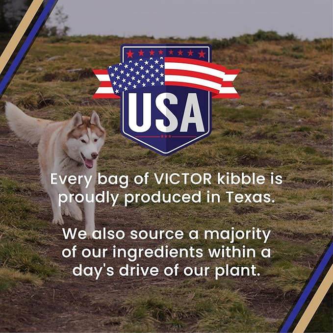 VICTOR Super Premium Dog Food – Select Beef Meal & Brown Rice Formula for Immune and Gut Health – Gluten-Free Beef Meal Dry Dog Food for All Normally Active Dogs of All Life Stages, 5 lbs