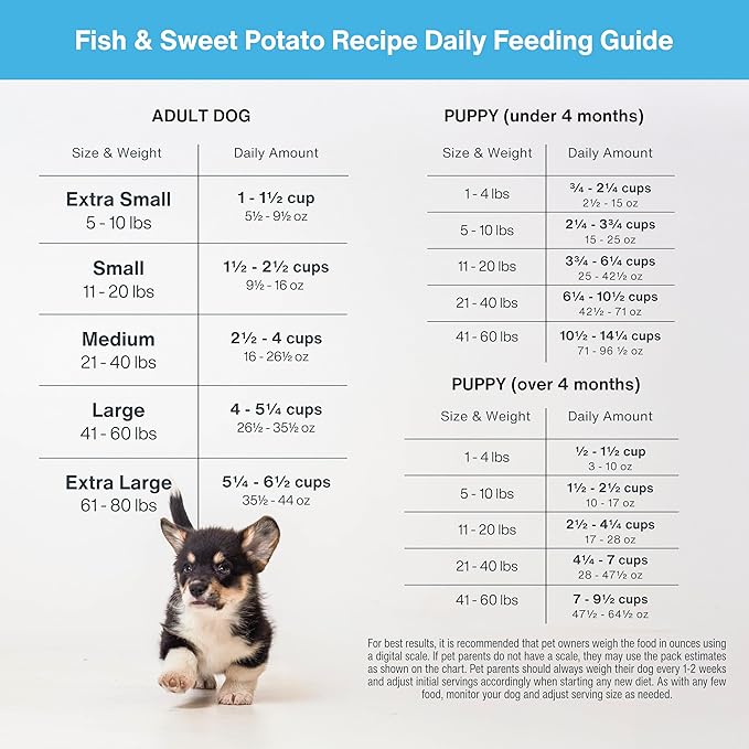Just Food for Dogs Nutrient Blend, Vitamins and Supplements for Homemade Dog Food, Fish and Sweet Potato, DIY Fresh Pet Meals and Toppers, Human Grade, Dog Vitamins & Multivitamin Additive, 4.55oz
