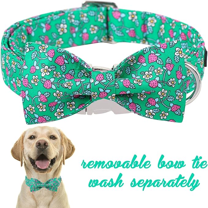 Unique style paws Cartoon Dog Collar with Bow Spring Summer Puppy Collar with Strawberry Flower for Small Medium Large Boys Girls Dogs