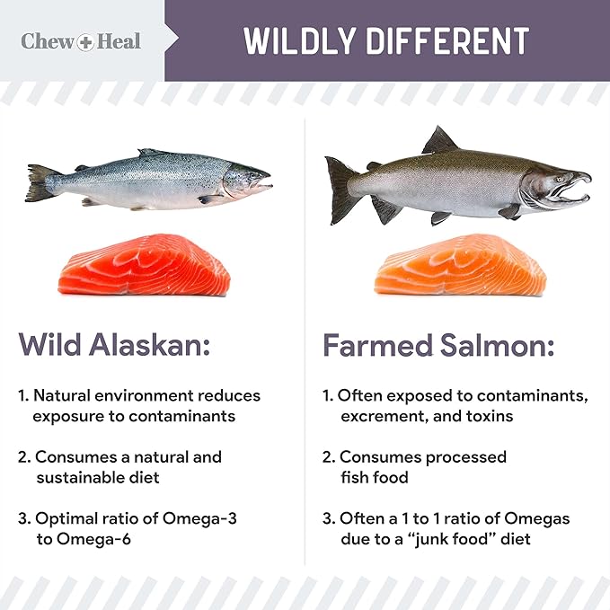 Chew + Heal Labs Seniors Soft Jerky Salmon Dog Treats - 12 oz of Omega Jerky - Dog Joint Supplement with Wild Alaskan Salmon and Turmeric - Made in the USA