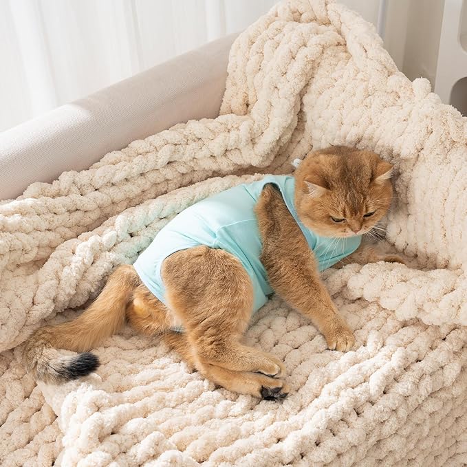 Avont Cat Recovery Suit for Surgery, Breathable Anti-Licking Onesie for Kittens, Surgical Post-Operative Protective Bodysuit, Comfortable Alternative to E-Collar -Mint (M)