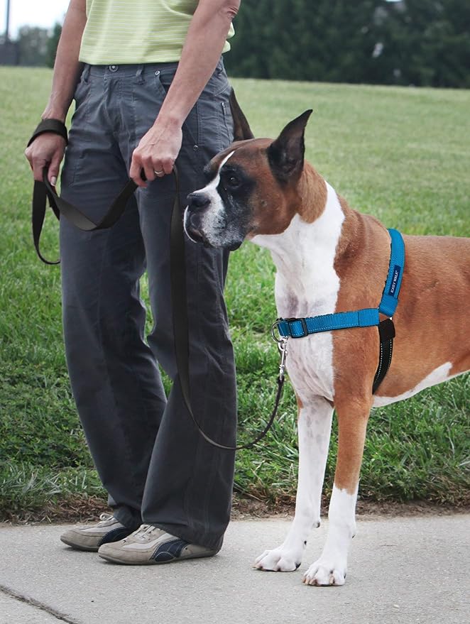 PetSafe Deluxe Easy Walk Harness - Trainer-Trusted Dog Chest Harness with Breathable Martingale Loop Design - Helps Stop Pulling with No Choking & Gagging - Large - Ocean