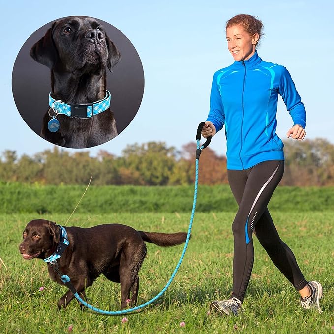 Reflective Dog Collar Padded with Soft Neoprene Breathable Adjustable Nylon Dog Collars for Small Medium Large Dogs (Medium (Pack of 1), Vivid Blue Plaid Collar+Leash)