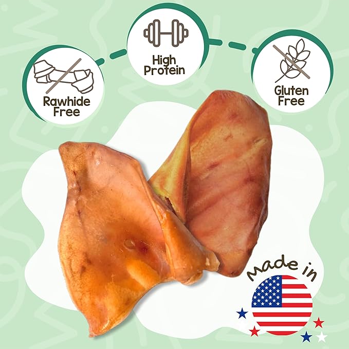 Nature Gnaws USA Pig Ears for Dogs (10 Count) - Thick Long Lasting for Aggressive Chewers and Large Dogs - Premium Natural Pork Dog Chew Bones - Rawhide Free