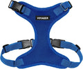 Voyager Step-in Pet Harness - All Weather Mesh, Adjustable Step in Harness for Cats and Dogs by Best Pet Supplies - Royal Blue, M