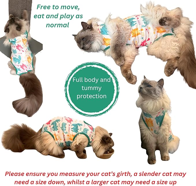 Cat Recovery Suit Surgical Onesie - Post Surgery - Soft Breathable Fabric - No-Cord Design - Protects Wounds and Skin After Spay or Neuter - Male and Female Cats | Small