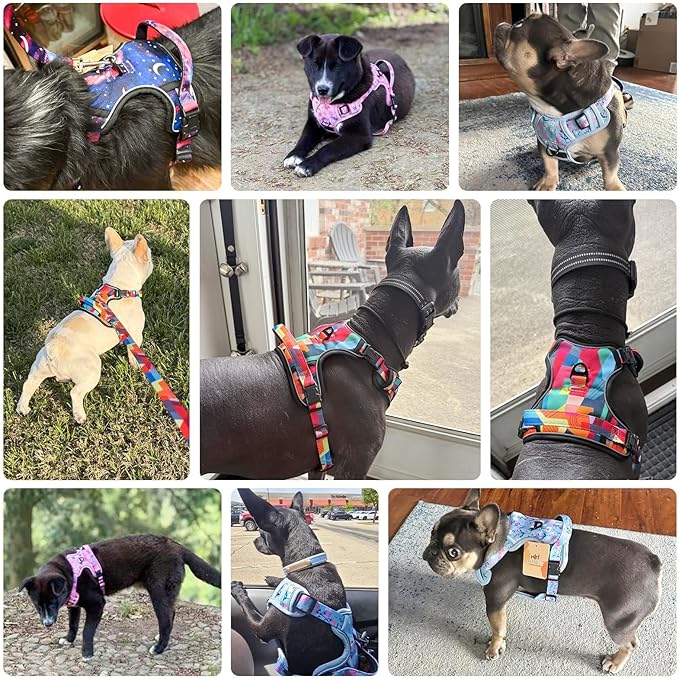 BEAUTYZOO No Pull Dog Harness, Adjustable Dog Harness and Leash Set -Easy Wearing with 3 Buckles/Control Handle,No Choke Soft Padded Reflective Pet Vest for Training Walking Hiking,Solid Aqua Blue L