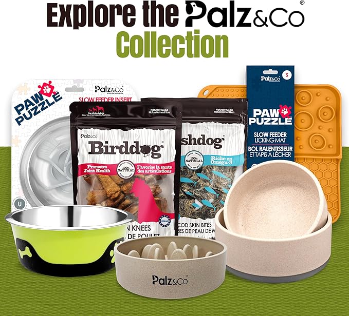 Palz&Co EcoBowl with Lid for Dogs & Cats, 28 oz Green - Natural Bamboo Pet Bowl with Non-Slip Base, Pet Food and Water Dish, Dishwasher Safe