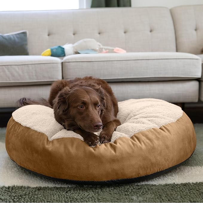 JAXX Robbi Dog Bed Bean Bag – Round Bed with Machine Washable Cover and No-Slip Base - Supportive Memory Foam for Senior Dogs & Joint Pain Relief - Ultimate Comfort & Luxury - Medium, Cloud/Beige