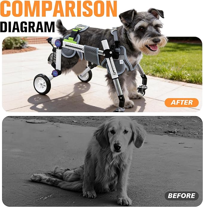 Dog Wheelchair 4 Wheels Adjustable, Full Body Support Dog Cart for Front & Rear Legs, Lightweight Mobility Aid for Disabled Small Dogs